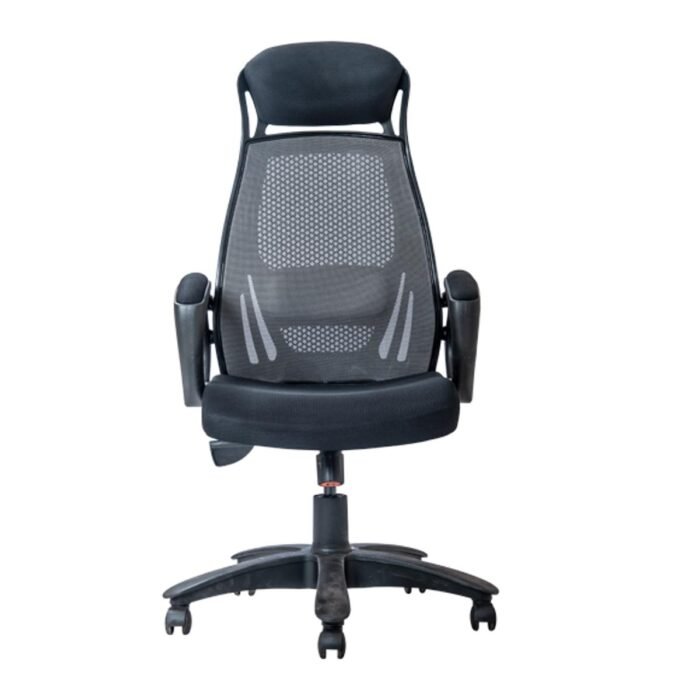 Executive Chairs – Luxury B 543